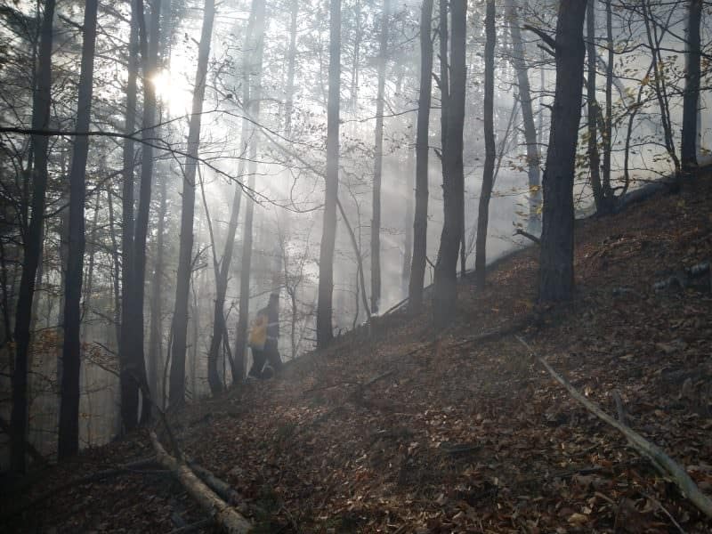 foto pompierii sibieni în alertă - s-a reaprins incendiul de pădure de la măgura