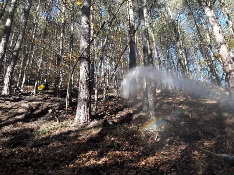 update foto s-a reaprins incendiul de pădure de la măgura - pompierii intervin de urgență