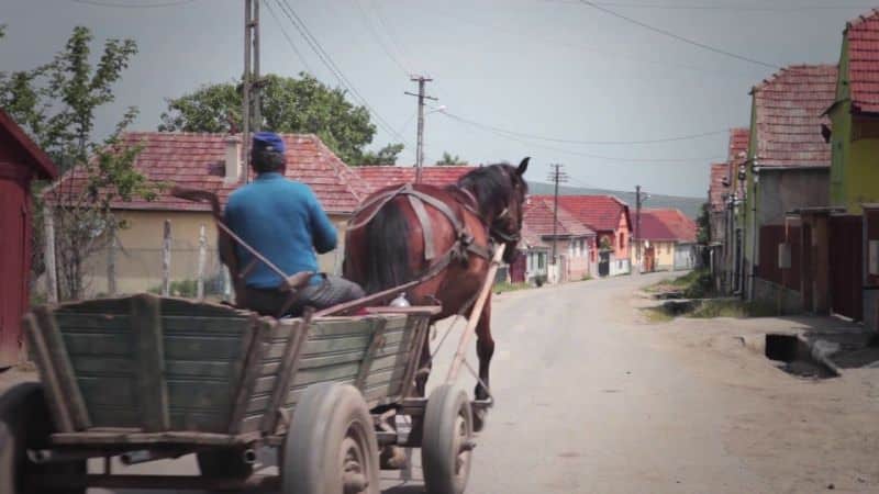 crima de la bogatu - ce s-a întâmplat de fapt între cei doi soți