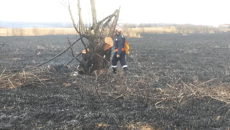 FOTO Incendiu de vegetație în localitatea Vale