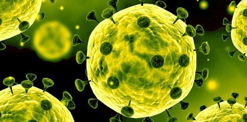 primul caz de infecție cu coronavirus depistat în germania