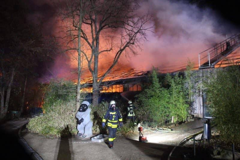 FOTO Incendiu la o grădină zoologică din Germania - Zeci de animale arse de vii