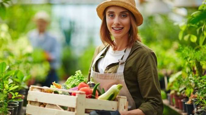 bani pentru fermierii care angajează tineri în agricultură - se pot angaja sibienii până în 40 de ani