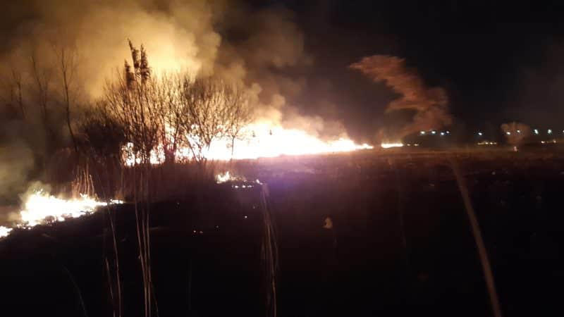 FOTO Incendiu la Săliște - Au ars două hectare de vegetație uscată