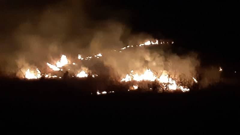 FOTO Incendiu la Săliște - Au ars două hectare de vegetație uscată