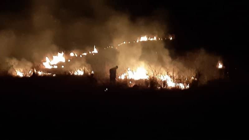 FOTO Incendiu la Săliște - Au ars două hectare de vegetație uscată