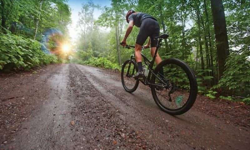 asociația „tură în natură” i-a scris lui adrian bibu - sibienii cer dezvoltarea unei infrastructuri pentru biciclete