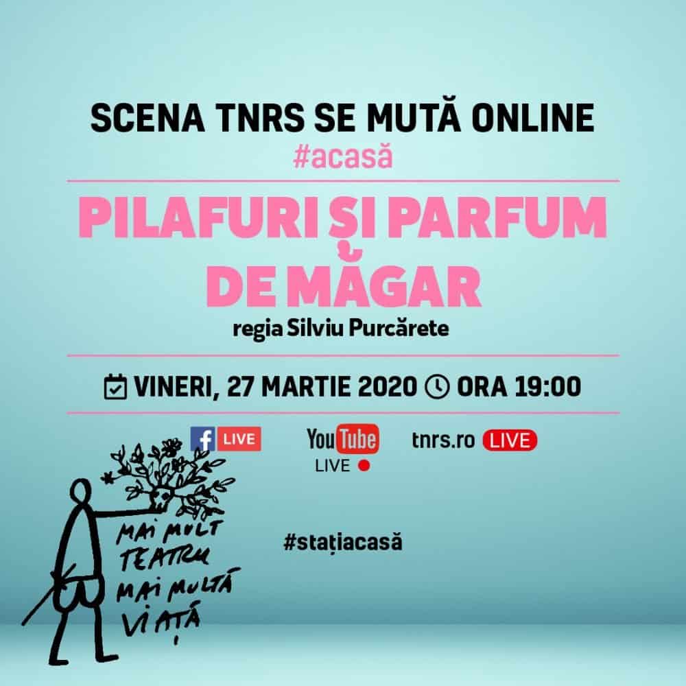 teatrul „radu stanca” difuzează în premieră absolută online, primul spectacol pus în scenă la sibiu de regizorul silviu purcărete