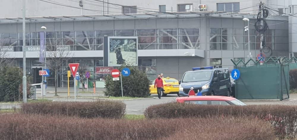 urs în zona aeroportului din sibiu - mesaj ro-alert pe telefoanele sibienilor