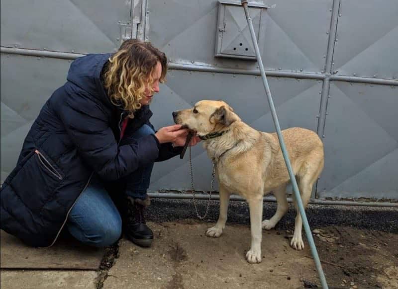 VIDEO FOTO Împreună am reușit - Bonnie a fost adoptată după ce i-am spus povestea aici. Sissi încă speră