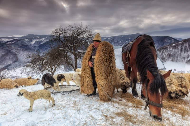 FOTO - Fotografii spectaculoase din Sibiu, premiate internaţional; Fotograful, cel mai vechi păpuşar al oraşului