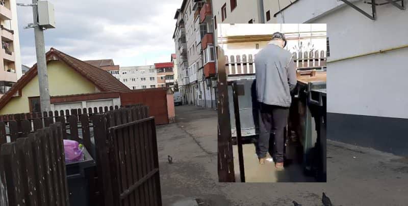 video - spațiu pentru gunoi plin de dejecții în valea aurie - zona e supravegheată video