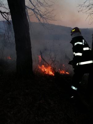 foto incendiile de vegetație le dau bătăi de cap pompierilor - au stins zece în ultimele 24 de ore