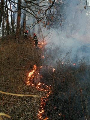 foto incendiile de vegetație le dau bătăi de cap pompierilor - au stins zece în ultimele 24 de ore