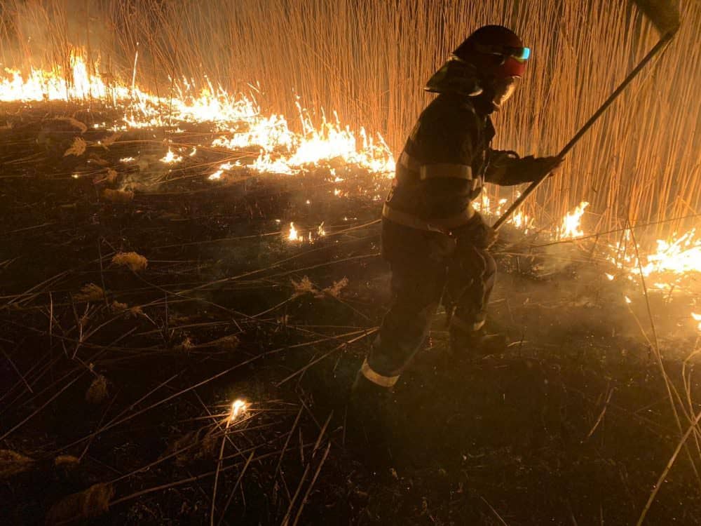 foto incendiile de vegetație le dau bătăi de cap pompierilor - au stins zece în ultimele 24 de ore