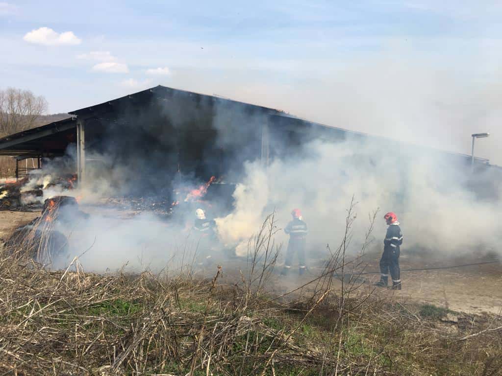 foto: incendiu puternic la o fermă din moșna - animalele au fost salvate