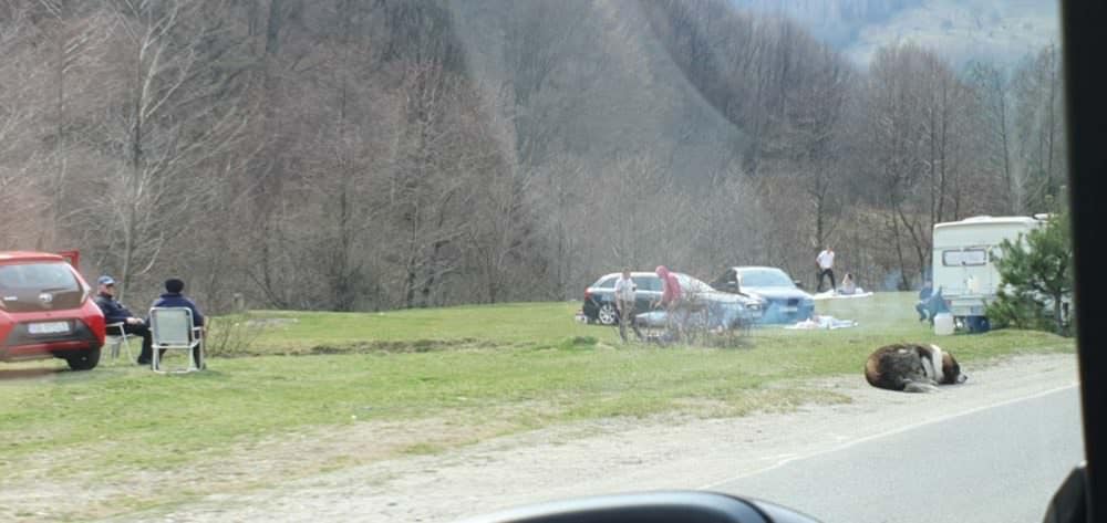 video foto: sibienii au ieșit la iarbă verde și grătare la curmătura ștezii în plină pandemie de coronavirus