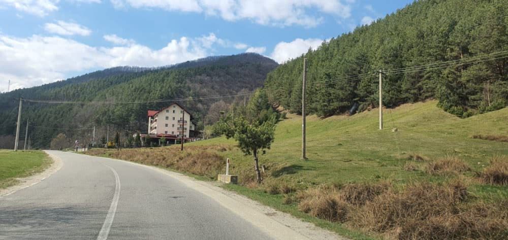 video foto: primele florii fără grătare și ieșiri la iarbă verde - sibienii cu nume de flori sărbătoresc acasă