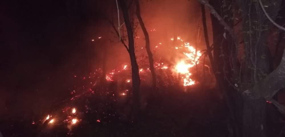 foto arde pădurea la mălâncrav - pompierii militari încearcă să stingă focul