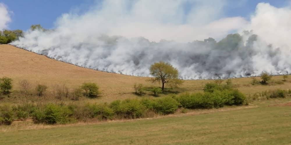 FOTO Incendiu de vegetație la Ighișul Nou - Patru ore s-au luptat pompierii cu flăcările