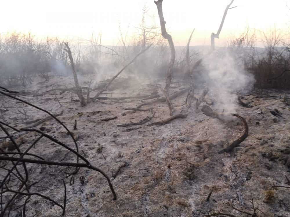 foto: pompierii s-au luptat patru ore să stingă un incendiu la agnita și alțâna - au ars opt hectare de vegetație