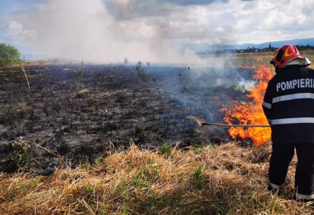 FOTO: Incendii de vegetație lângă autostradă și pe Dealul Dăii