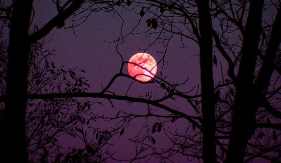 fenomenul spectaculos care va fi vizibil în această noapte - superluna roz