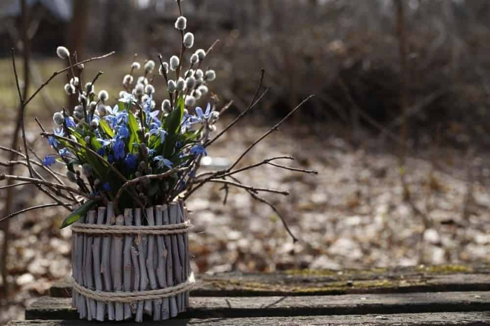 mii de sibieni își sărbătoresc astăzi ziua onomastică - ce nume de flori sunt sărbătorite în duminica floriilor