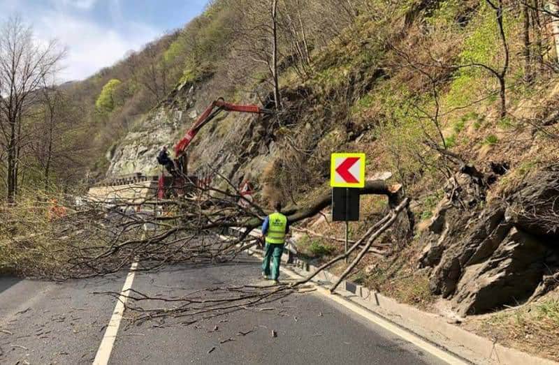 trafic cu restricții pe valea oltului - se curăță șanturile și vor fi toaletați arbori