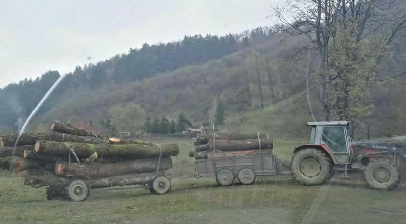 tractor cu lemne furate depistat între merghindeal și dealul frumos