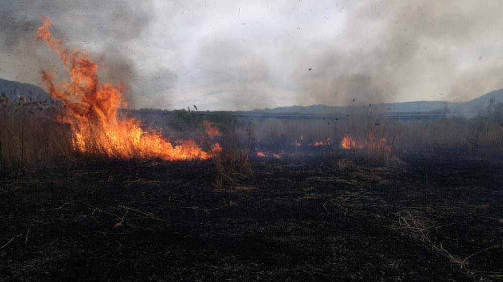 FOTO: Incendiu de vegetație între Săliște și Săcel