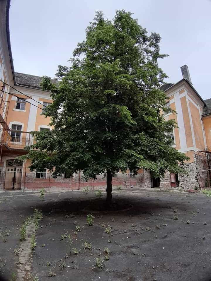 foto fostul liceu pedagogic în ruină - imaginile care au îndurerat mii de dascăli sibieni