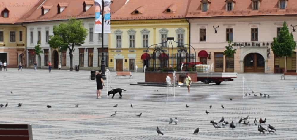 VIDEO FOTO: Sibiul a revenit la viață - Plin de oameni în centrul orașului vineri