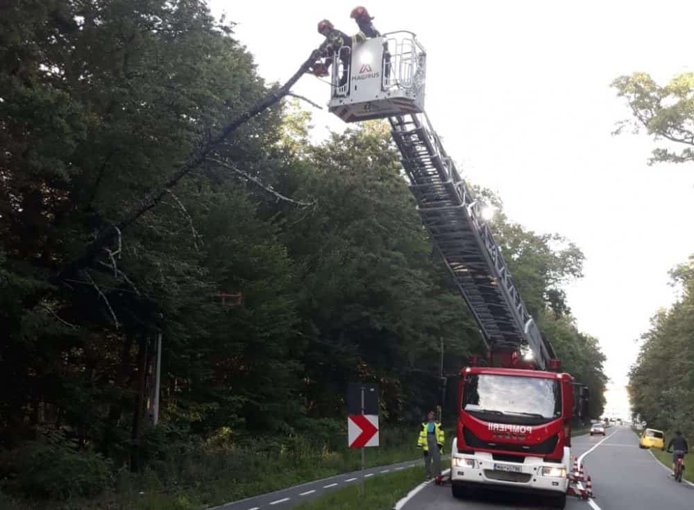 copac căzut peste firele de tramvai la ieșire din sibiu spre rășinari