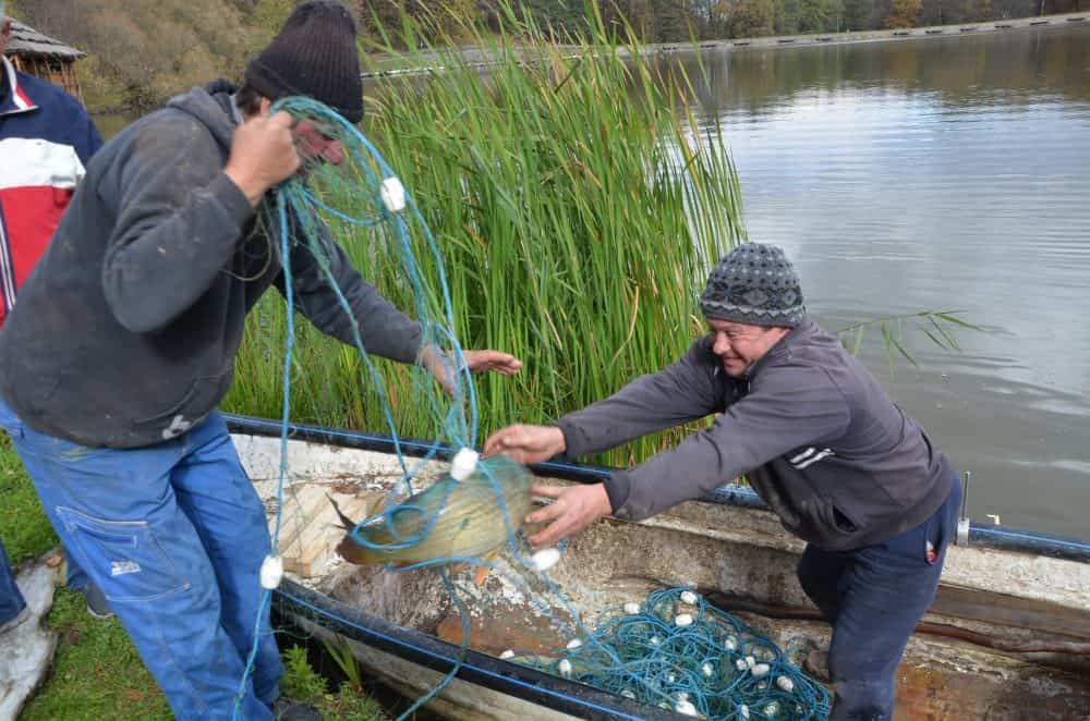 Ciorbă de pește ca în Delta Dunării - Doi pescari lipoveni gătesc în Muzeul Astra