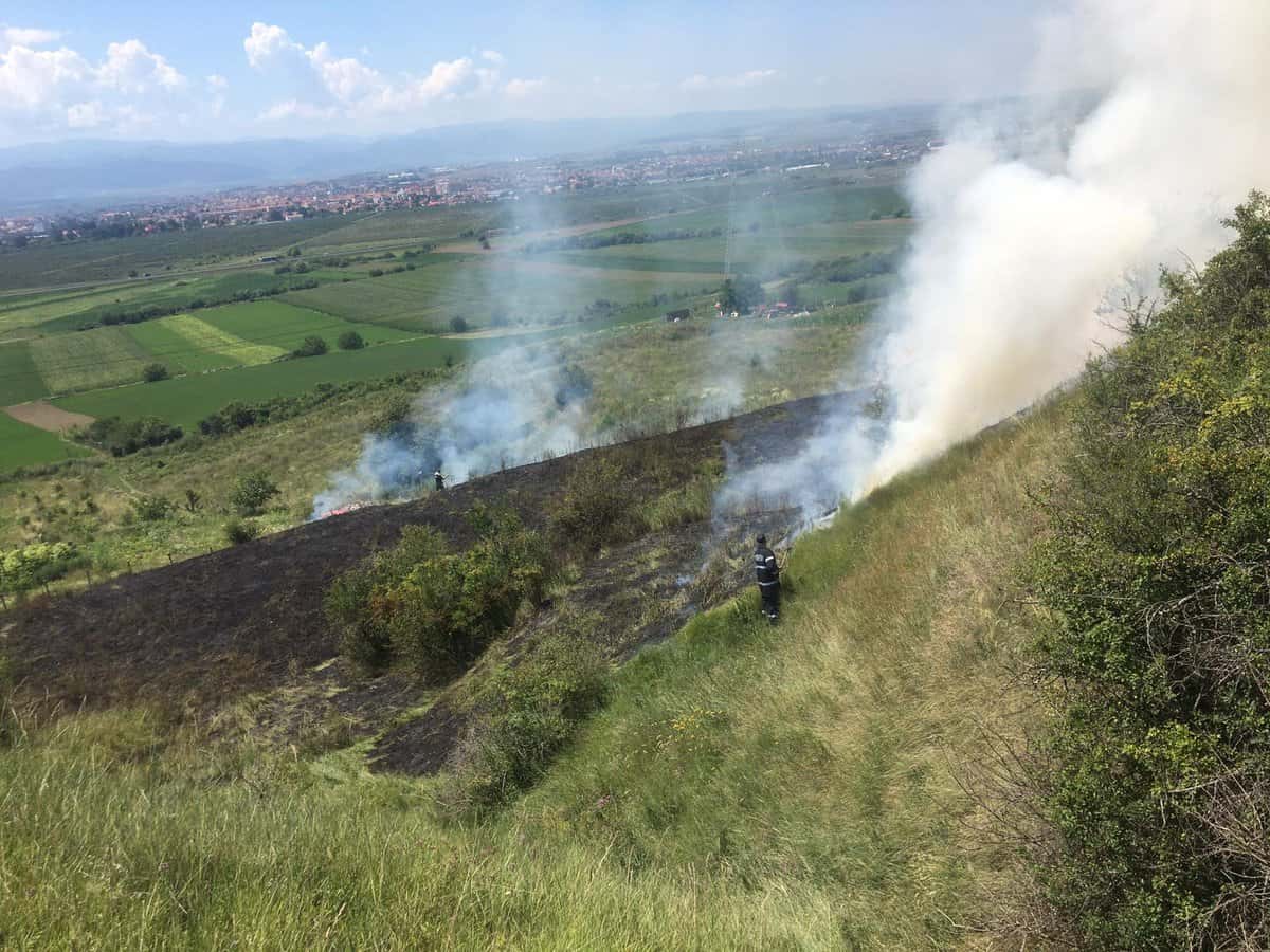 Incendiu în Gușterița - Au ars două hectare de vegetație