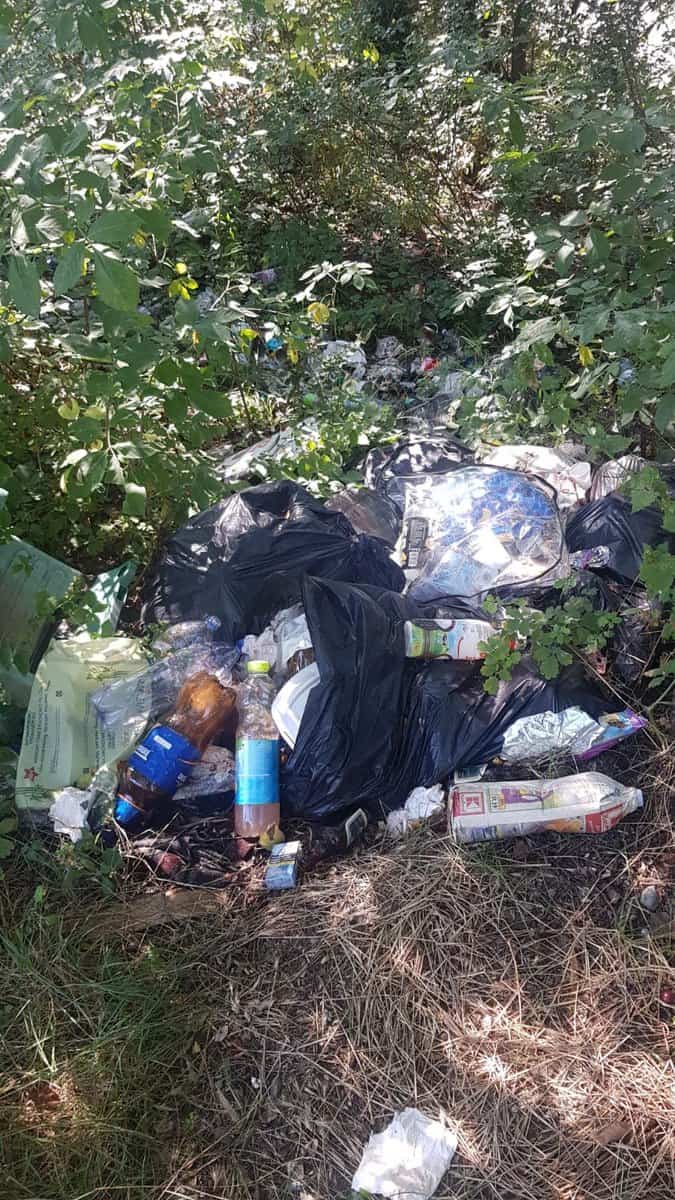 Acțiune de ecologizare pe Valea Oltului - Se caută voluntari