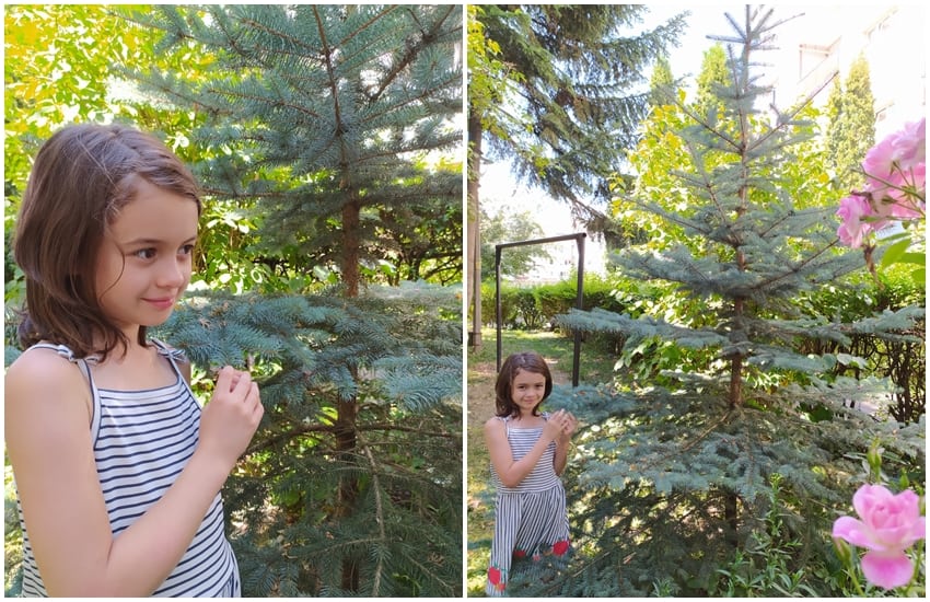 Strigătul unei fetițe din cartierul Ștrand - „Nu stricați natura!”