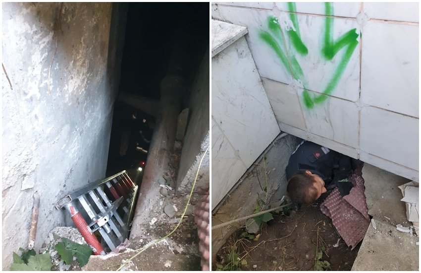 foto: cinste lor! pompierii au salvat mai mulți căței blocați în subsolul unei clădiri pe dumbrăvii