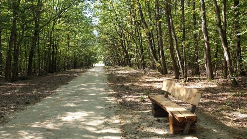 foto bicicliștii sibieni au un loc nou de promenadă - pe pistele din pădurea șopa