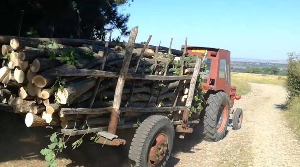 arbori tăiați ilegal în valchid - un adolescent de 17 ani transporta lemnul cu tractorul