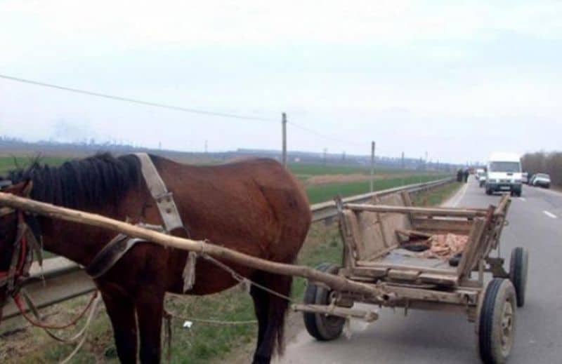 căruță lovită de o mașină la ruja. șoferul și căruțașul erau băuți