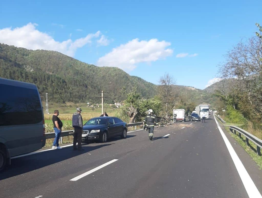 trafic alternativ pe valea oltului la balota - un copac blochează drumul