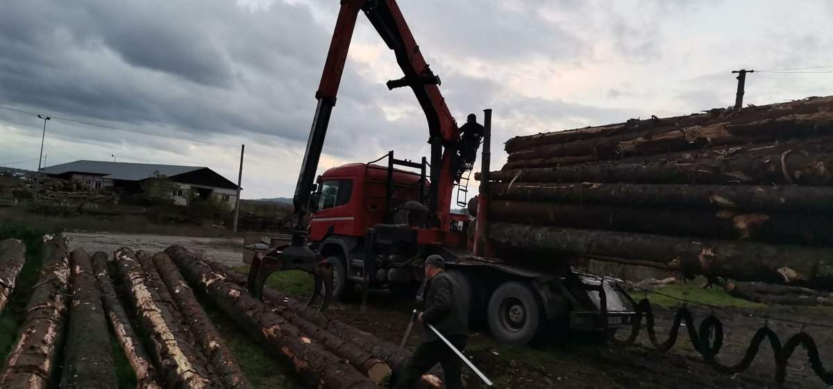 furt de lemn pe valea lotrioarei - bărbatul din boița s-a ales cu camionul confiscat