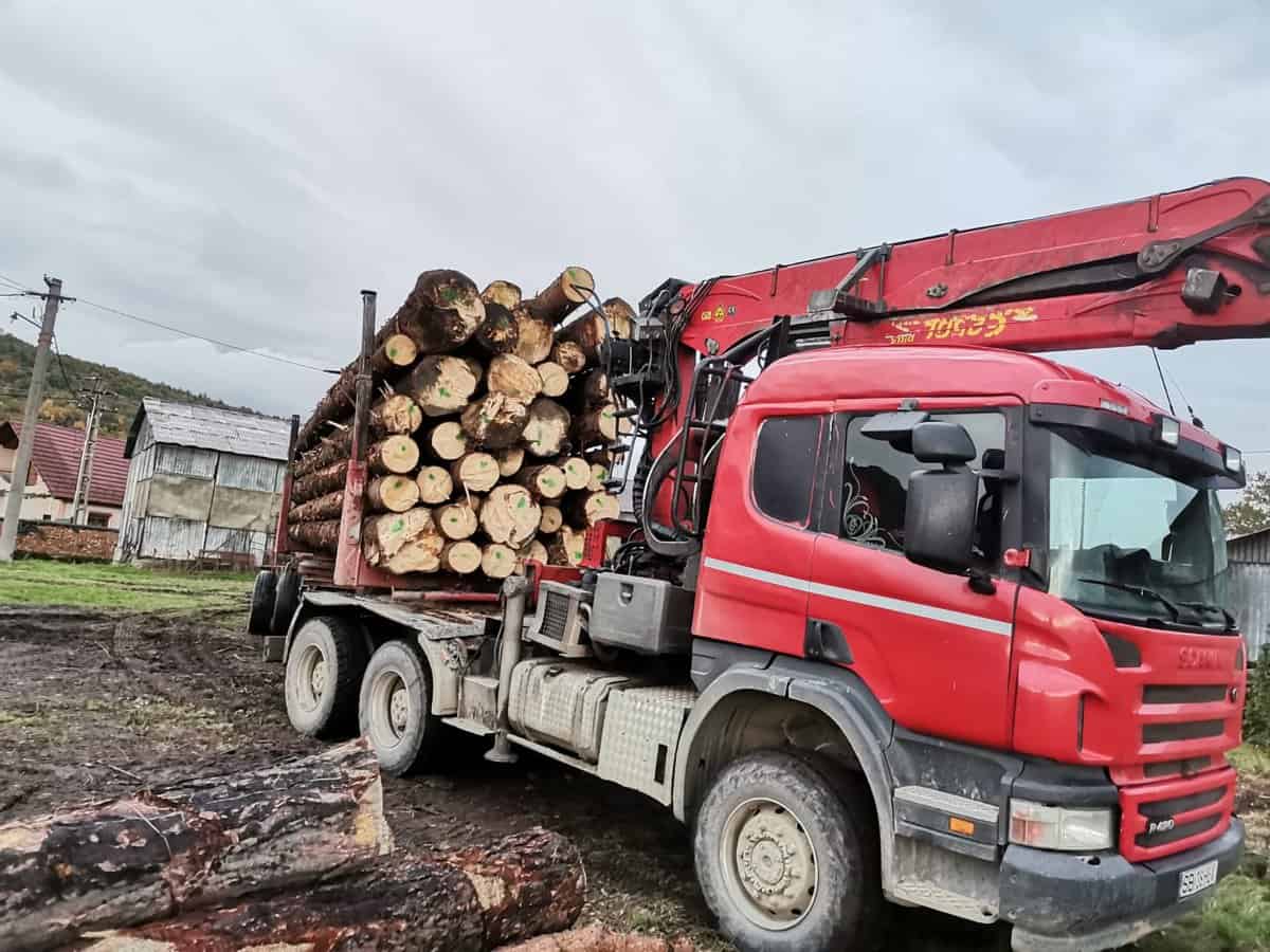 furt de lemn pe valea lotrioarei - bărbatul din boița s-a ales cu camionul confiscat