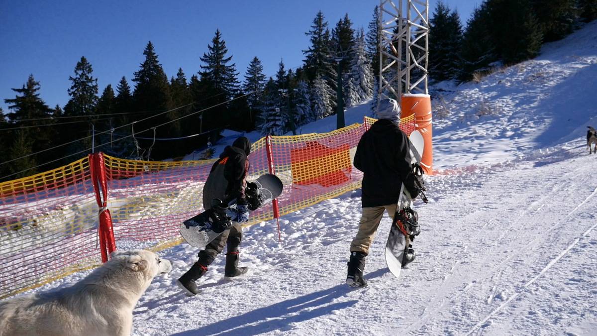 video foto - sezon de schi cu mască obligatorie la arena platoș - cum arată pârtiile proaspăt deschise