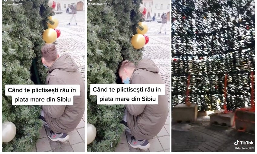 video viral pe tiktok - un tânăr s-a băgat în interiorul bradului din piața mare