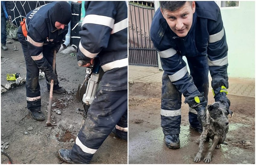 FOTO: Câine blocat într-un canal la Roșia - Pompierii au reușit să îl salveze