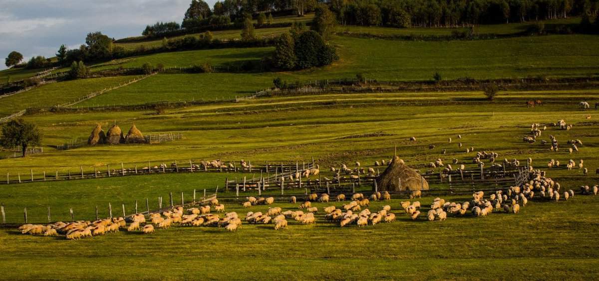 sibiu, un județ cu zeci de atracții turistice unice - valea zânelor, „edenul transilvaniei“, muzeul lui badea cârțan sunt doar o parte dintre comori