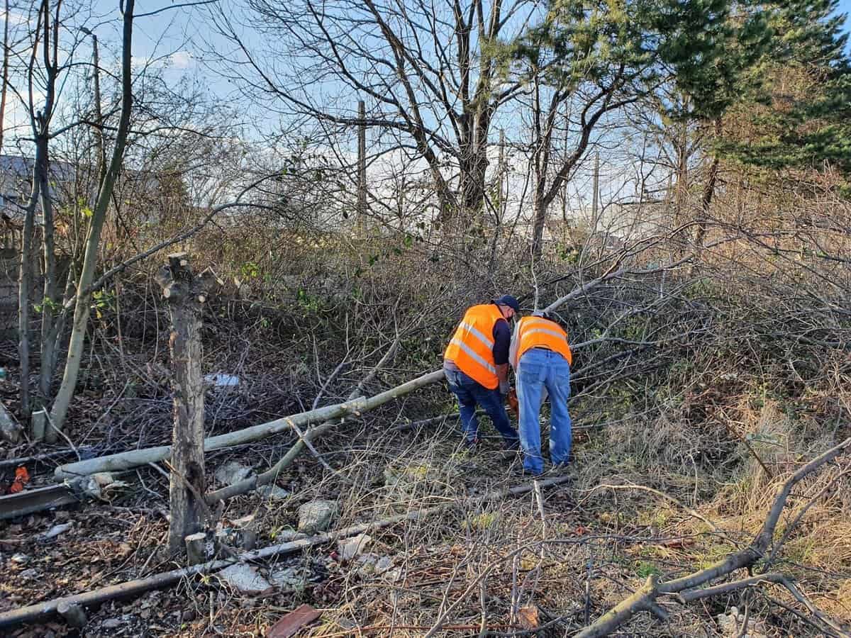 zeci de voluntari au participat la curățarea liniilor mocăniței pe timp de carantină